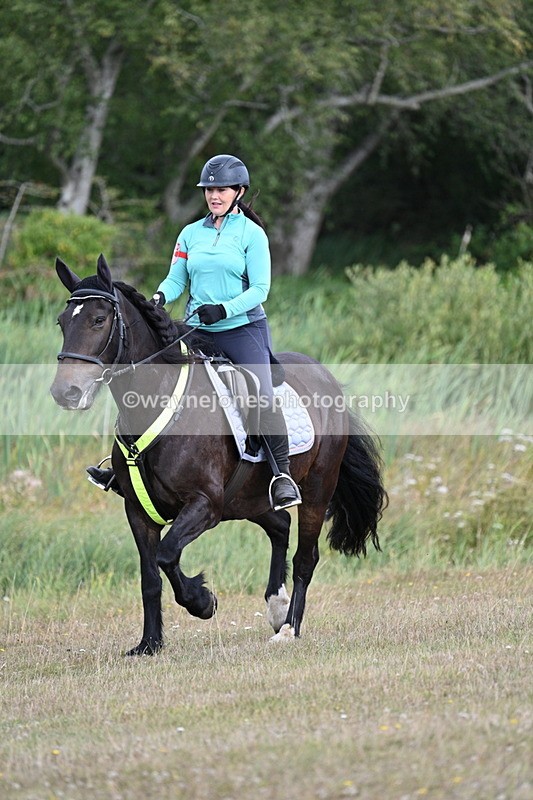 WJ7_5336 - Time 11:22 to 11:41