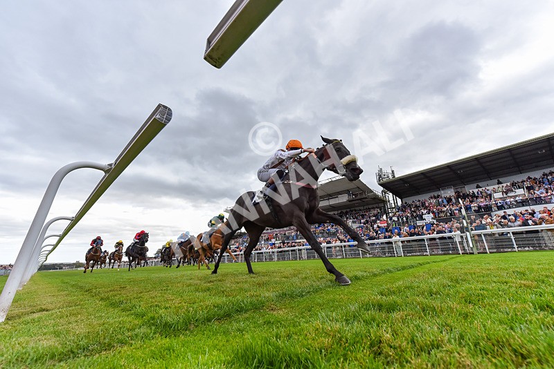 250824-Race 1-Emeralds Pride-4849 - Race 1