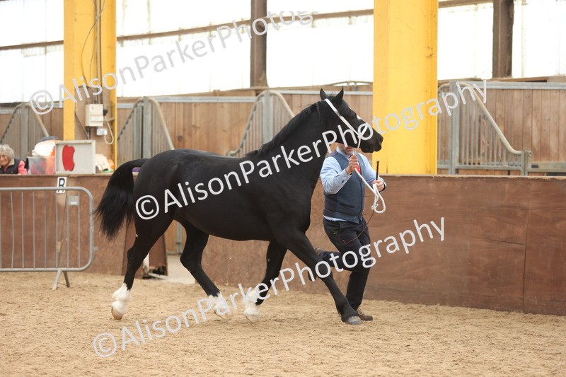 20251109-0916 - Class 26 - 2 and 4 Year Olds