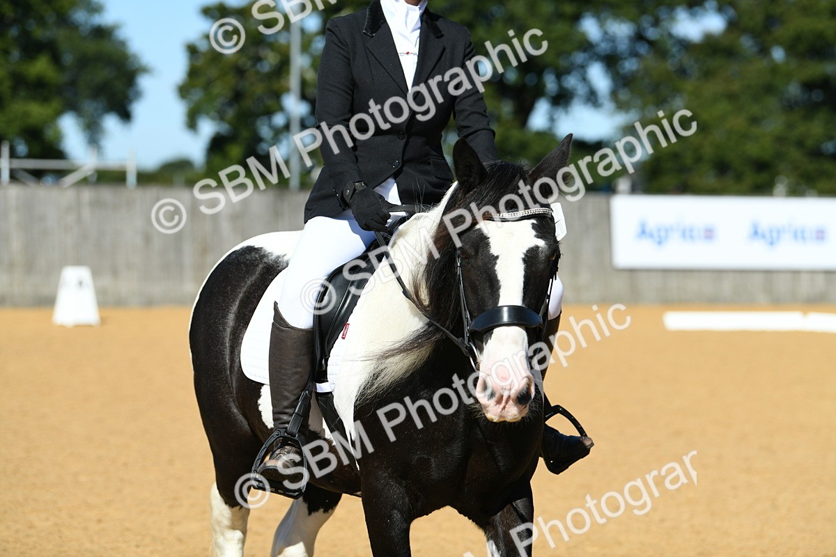 SBM_18218 - D4 - Small Tour Championship - Intro B