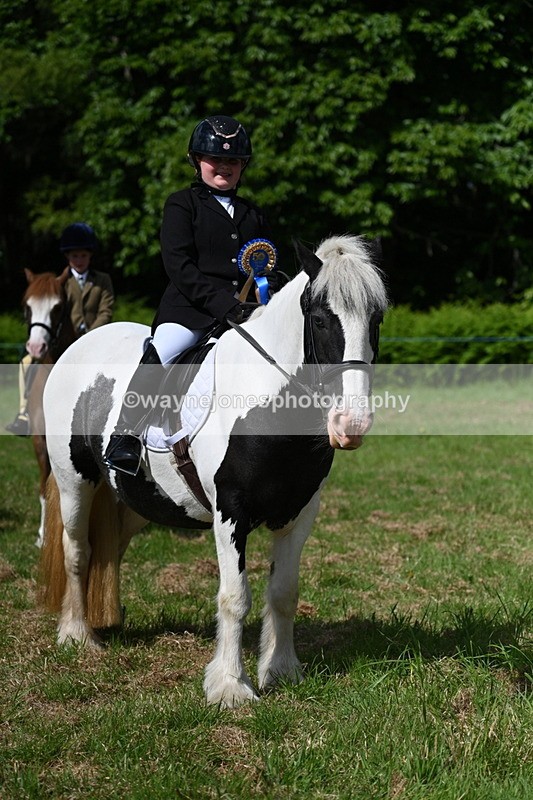 WJ7_0822 - Class 8 First Rally Pony