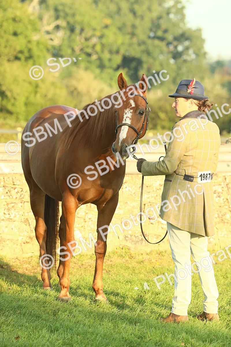 SBM_56553 - S36 - Starters Best Turnout