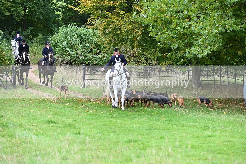 WJ6_0046 - Camera 2 Meet