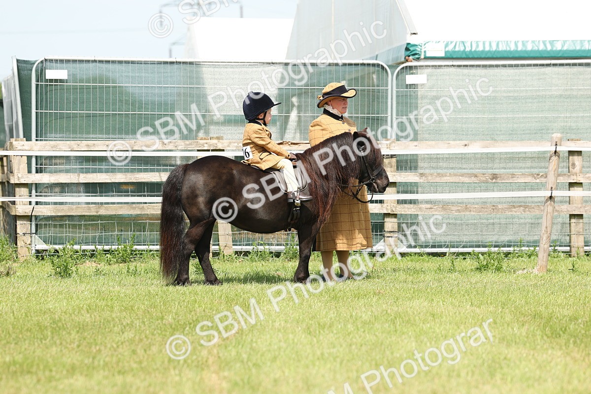 SBM_05158 - Class 24-25 - Mountain & Moorland In Hand Lead Rein and First Ridden