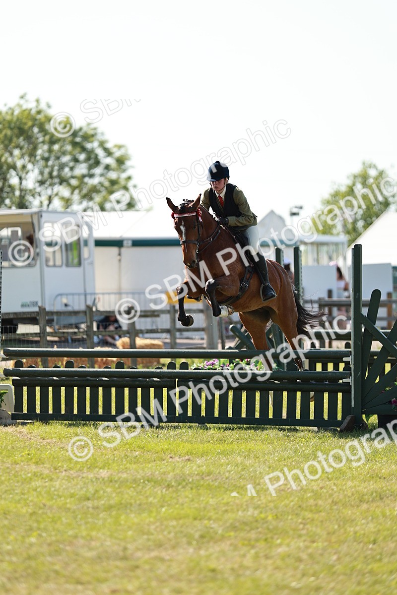 SBM_19136 - Class 115-116 - LIHS BSHA Rising Star Working Hunter & Show Horse