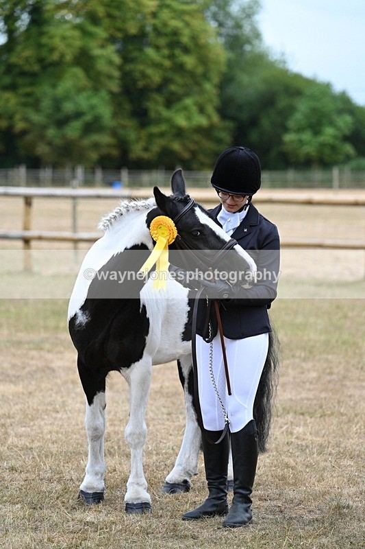 WJ7_8614 - Class 4 Prettiest Mare up to 14.2hh