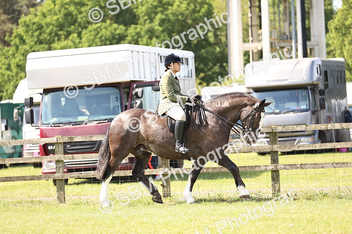 SBM_13695 - Class 77 - LIHS BSHA Rising Star Cobs
