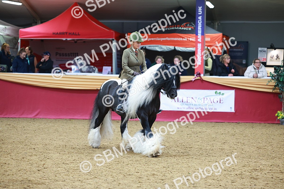 SBM_06261 - Class 12R - Ridden Pre-Vet
