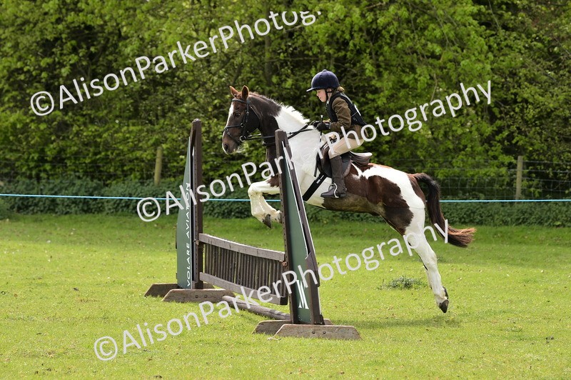 20260426-2401 - Class 21 - Working Hunter Ponies