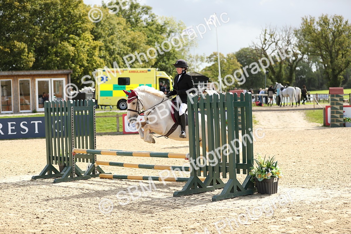 SBM_08476 - J30 - Senior Horse & Pony 70cm Championship