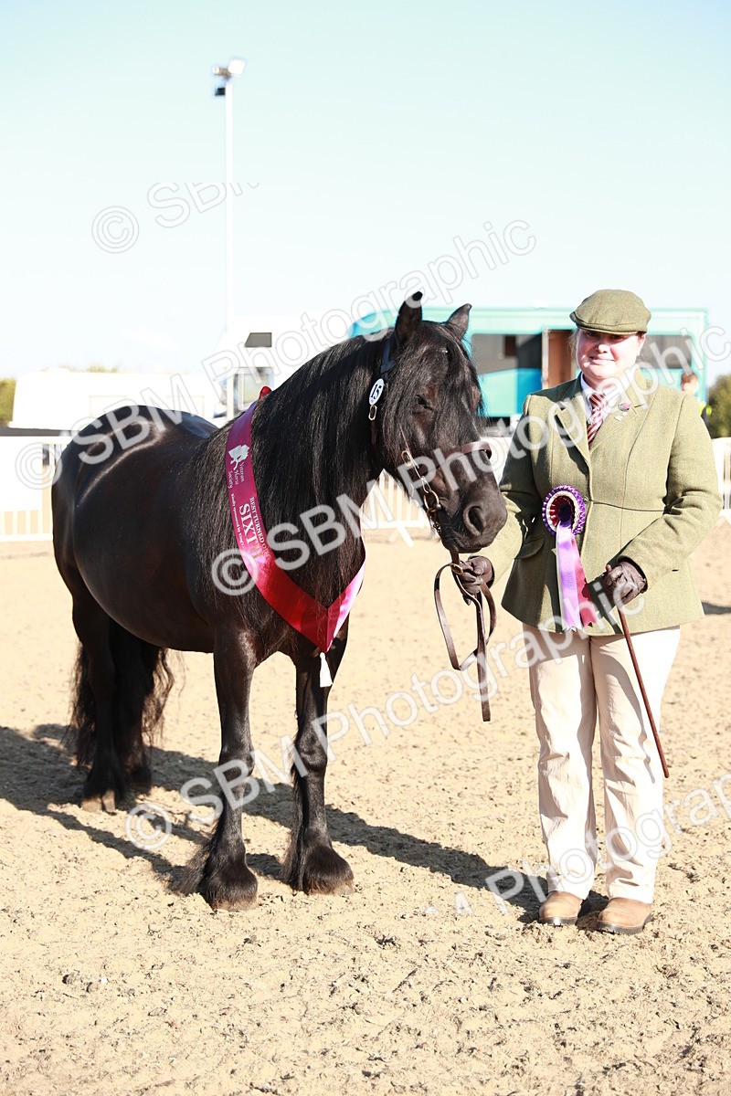 SBM_00146 - Class 40 Best Turned Out IH