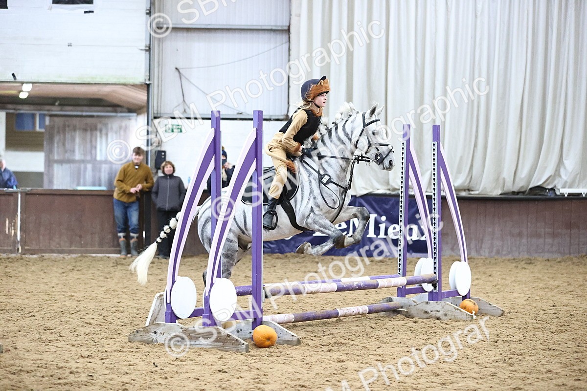 SBM_001267 - Class 3 - Horse & Hound 60cm
