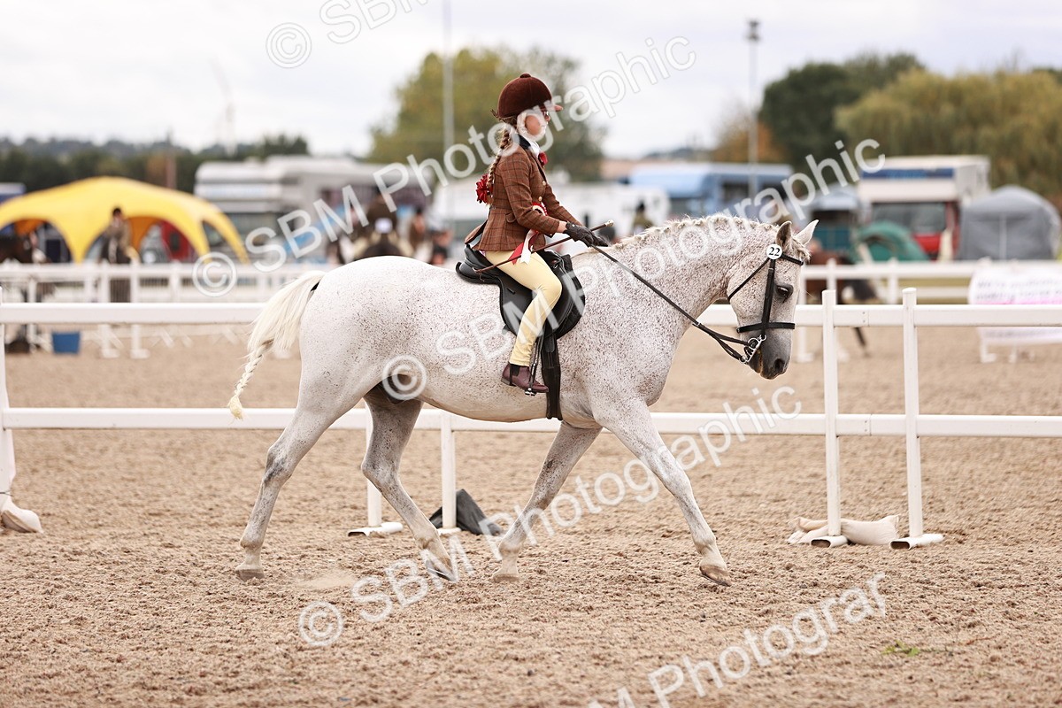 SBM_18637 - Class 421 - Childs Best Friend - Jnr