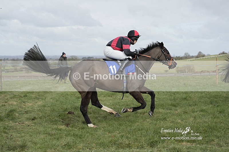 PtP 250223 044 - Kimblewick Hunt Point-to-Point Kingston Blount 25/02/23