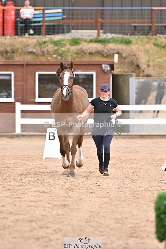 250716-151545-01820 - Trot Up 2.30 to 3.30