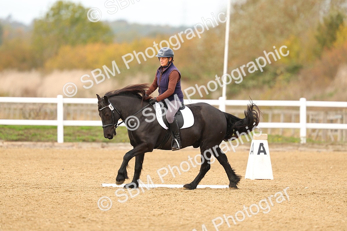 SBM_000698 - Class 3-12 - CT P2 60cm - DR P2