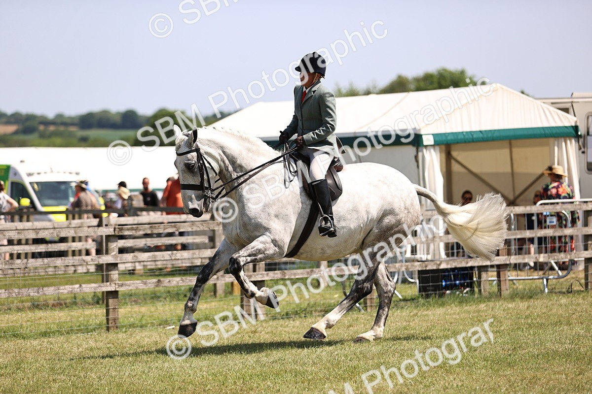 SBM_16133 - Class 79-80 - LIHS BSHA Rising Star Ridden Hunter