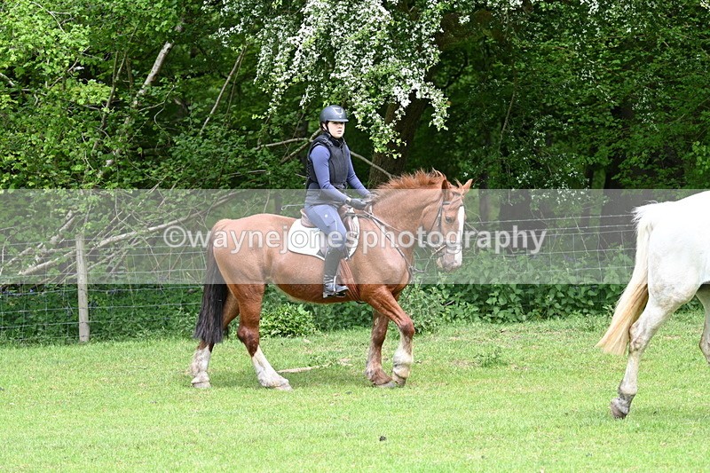 WJ7_2235 - Group 4 A&B Cameras