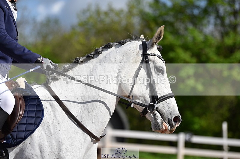 230511A-100101-00174 - BD Cls 2 Prelim 17A