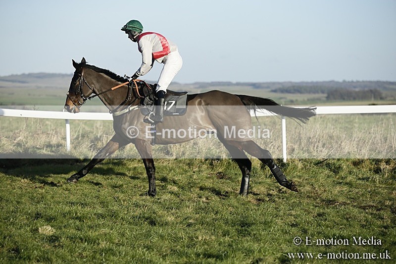 PtP 070118 -502 - Larkhill Racing Club Point to Point Larkhill 07/01/2018