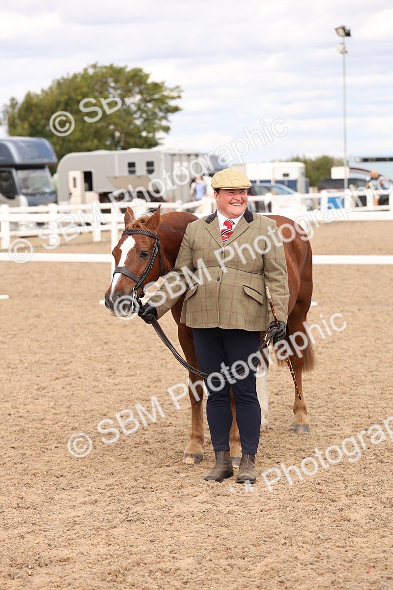 SBM_15127 - Class 209 - IH Veteran Pony