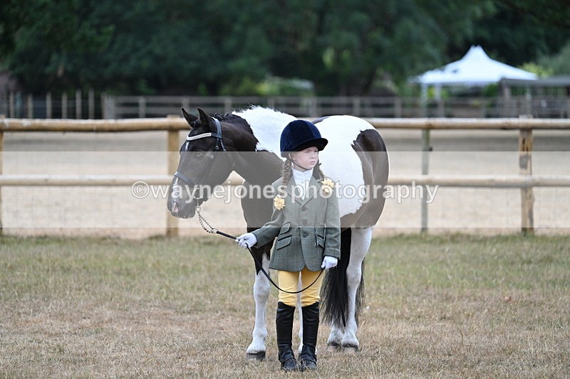 WJ7_9603 - Class 5 Most Handsome Gelding (up to 14.2hh)