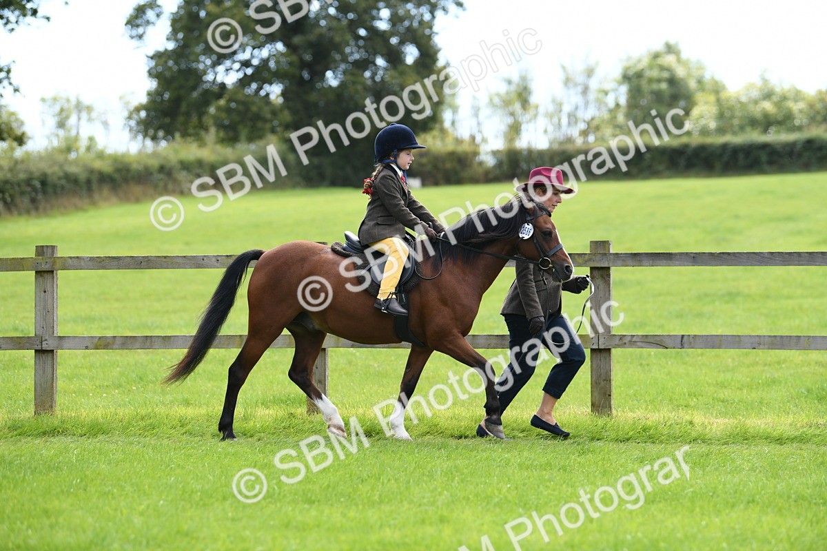 SBM_42490 - S20 - Lead Rein Mountain & Moorland Pony