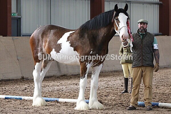 SIAL0355 - Indoor Classes