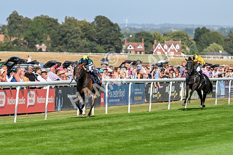 130825-Race 5-Bell Shot-8869 - Race 5