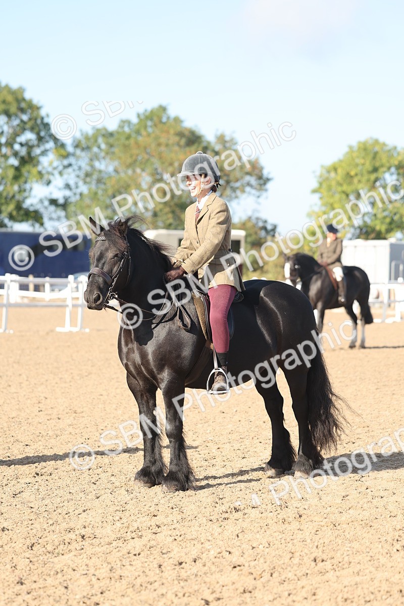 SBM_22162 - Class 802 - Ridden Groom Helpers Class