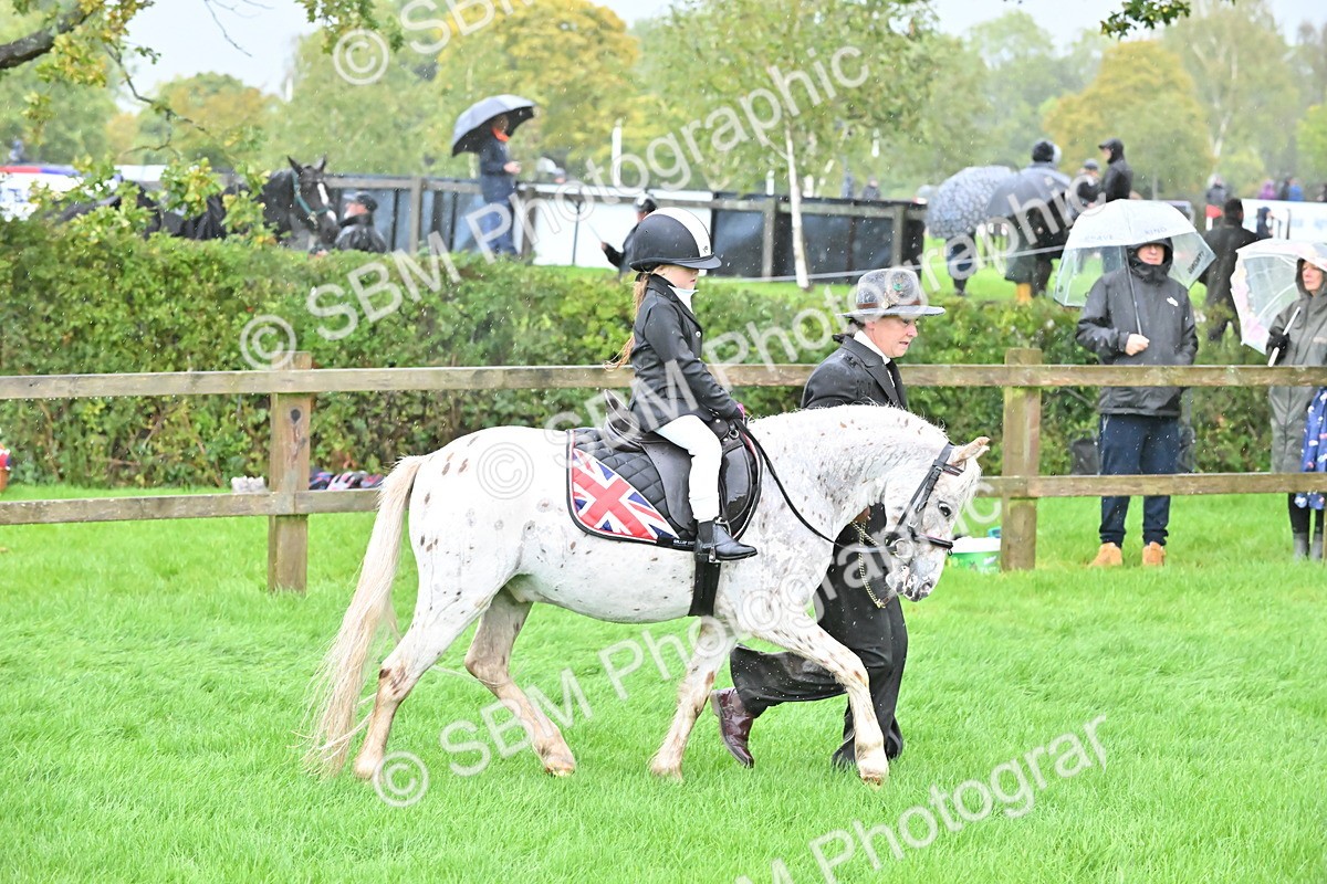 SBM_36495 - S18 - Novice & Newcomer Lead Rein Pony