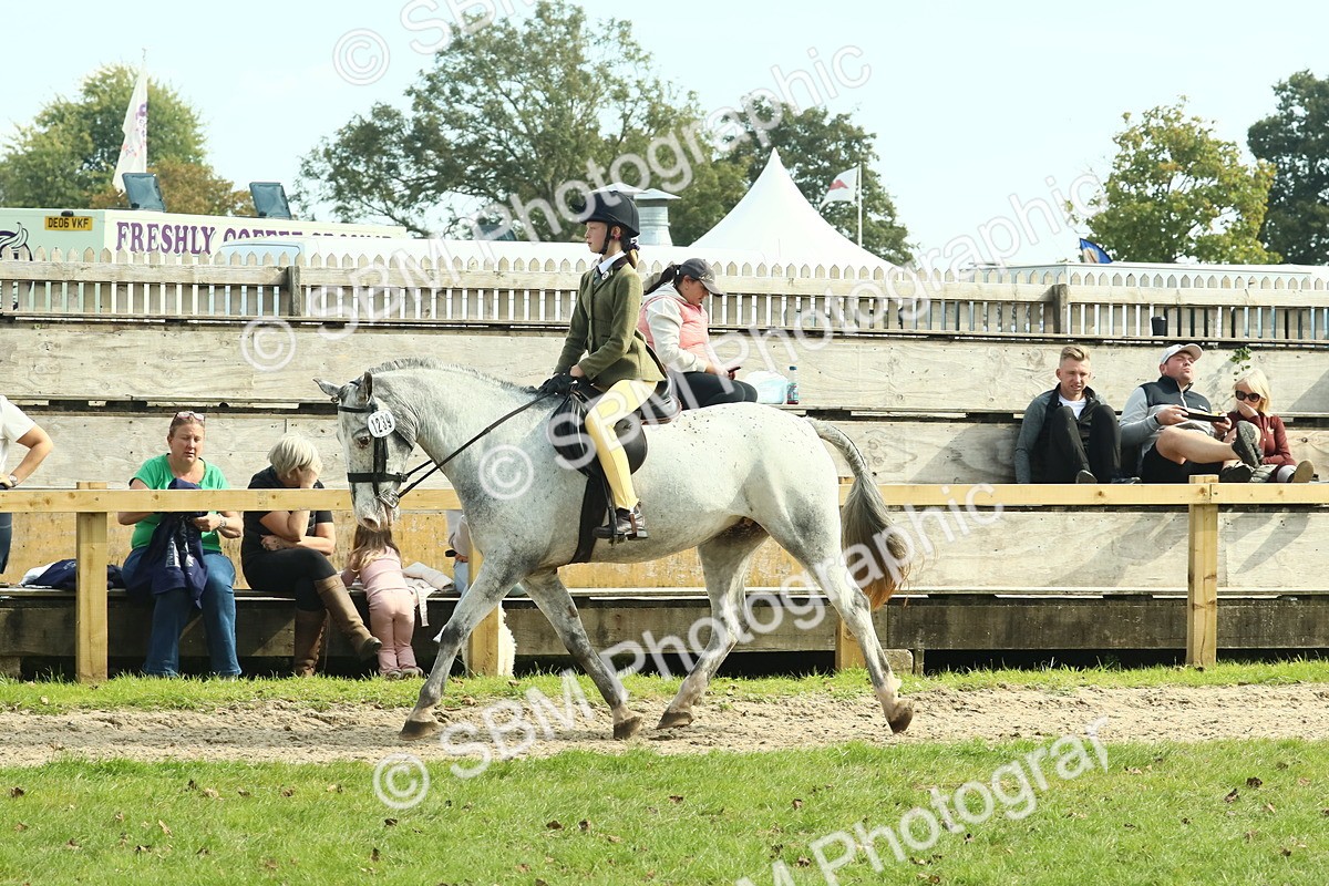 SBM_67541 - S56 - Coloured Pony Ridden