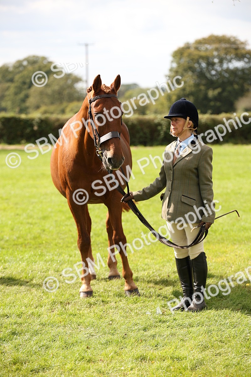 SBM_46407 - S25 - Mature Veteran In Hand
