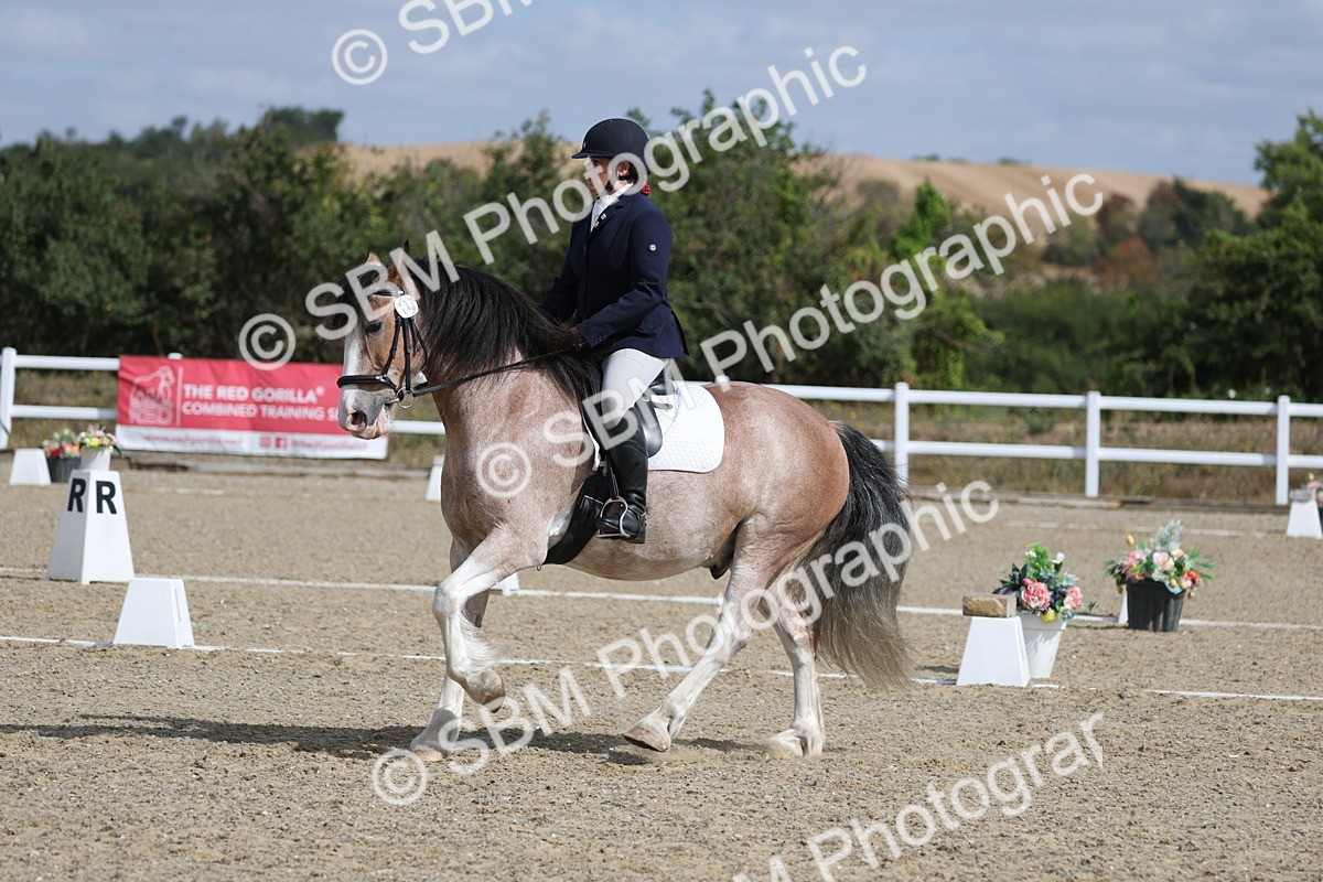 SBM_020932
