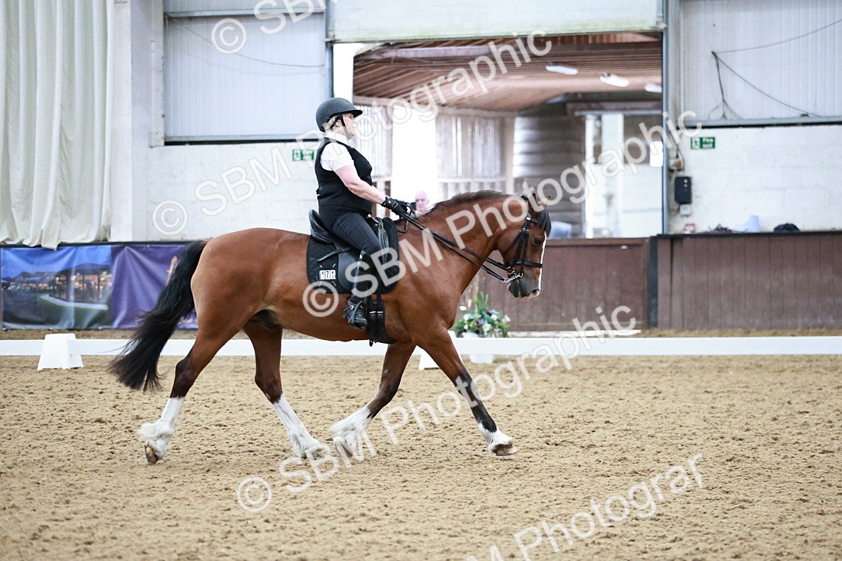 SBM_014348 - Class 7 - Ele FSM Bronze  13.24.14.04