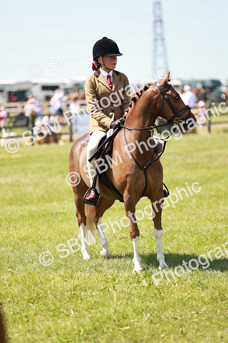 SBM_15737 - Class 108-109 - BSPS LIHS Open Gradle & Nursery Stakes