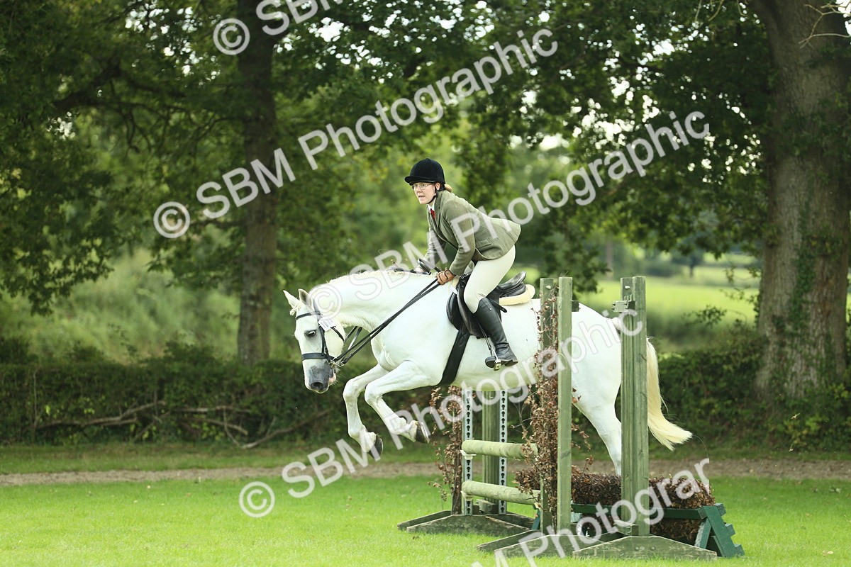 SBM_47936 - S32 - Novice & Newcomers Working Hunter