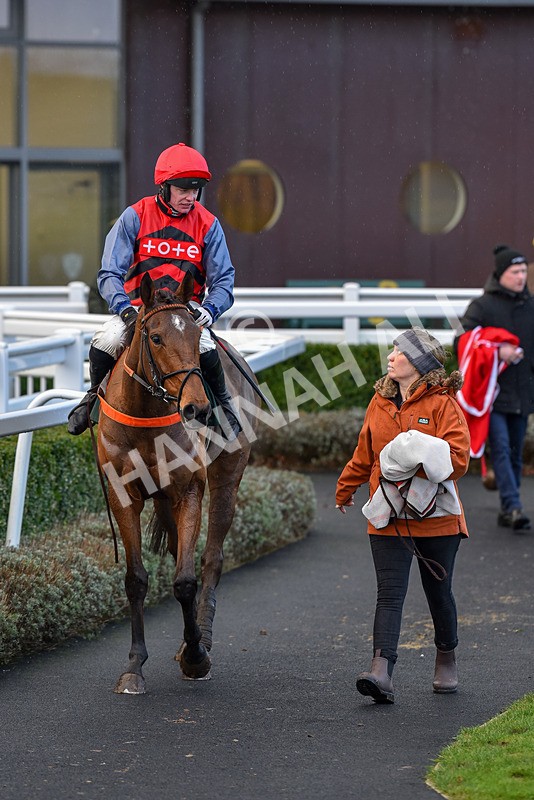 281223-Race 4-Lavida Adiva-2-15 - Race 4