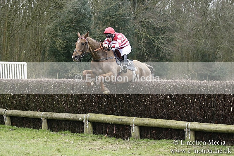 PtP 110318 59 - Hampshire Hunt Point-to-Point Hackwood Park 11/03/18