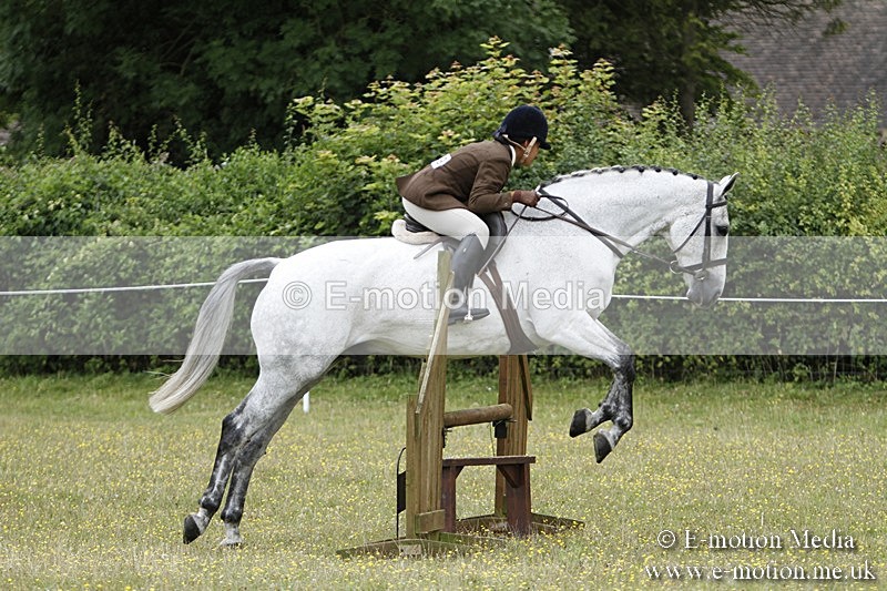 BVR160717-1726 - Ring 3 BVRC Show 16/07/17