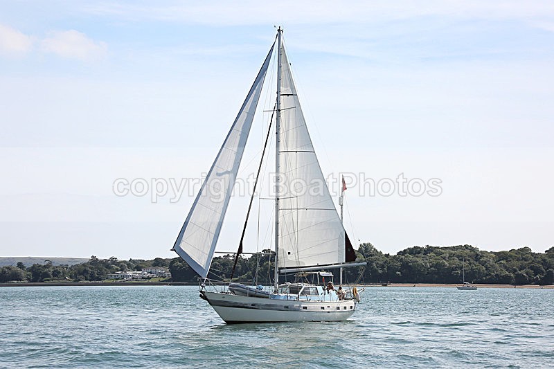 160814 HO DE Y92A3559 - Sailboats - monohull