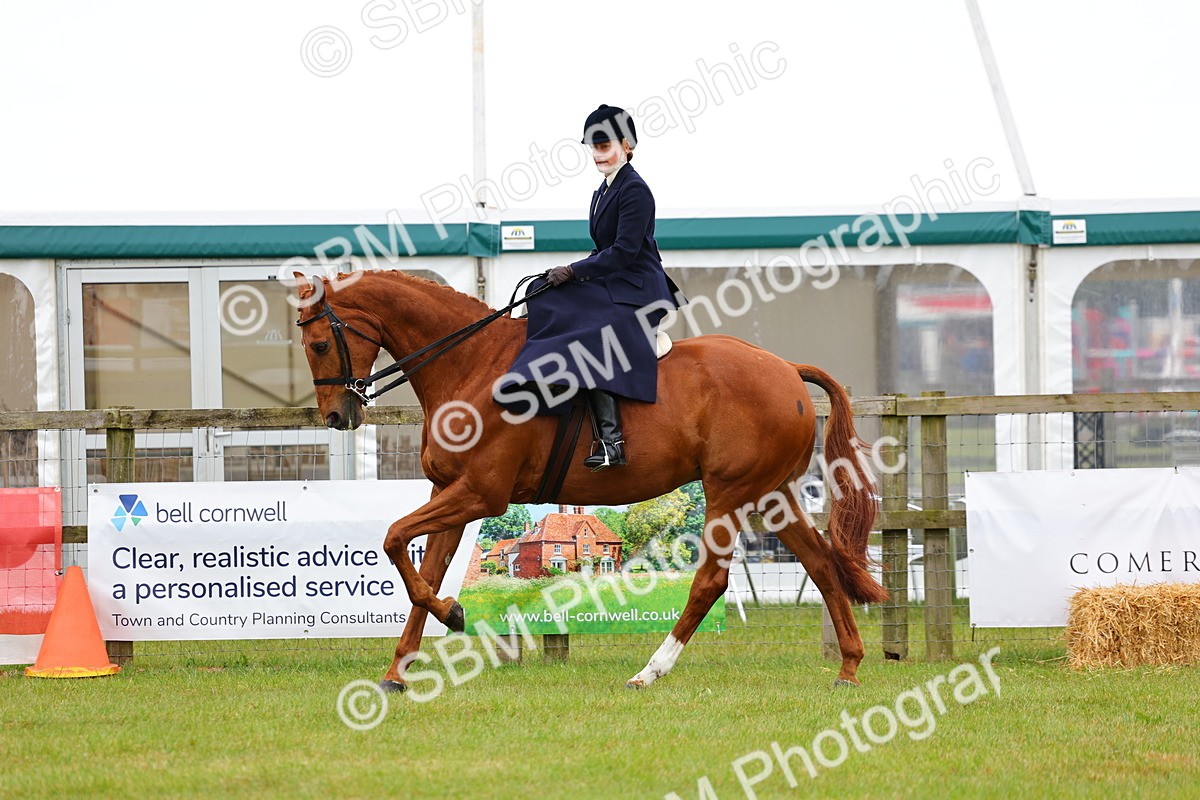 SBM_02740 - Class 9-11 Side Saddle including LIHS Rising Star Ladies Show Horse