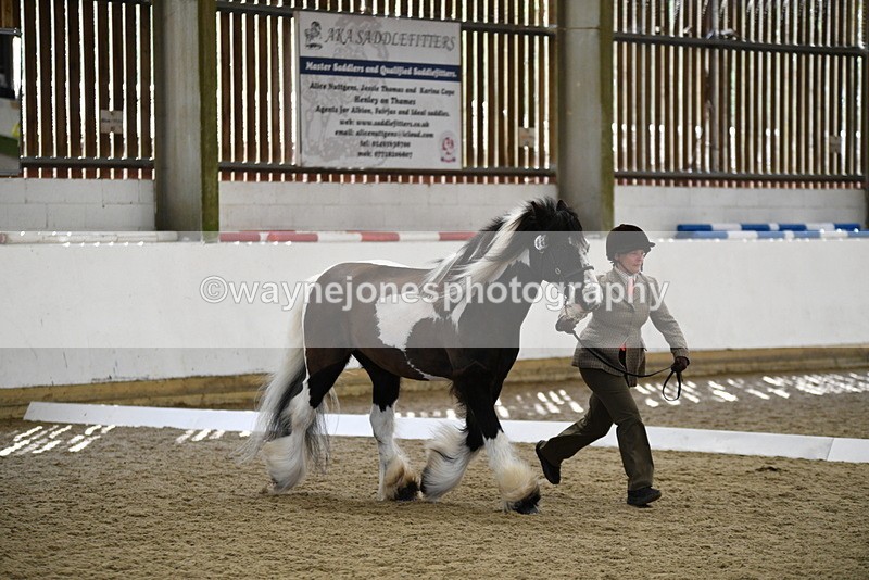 WJ5_5026 - Class 7 In hand coloured / odd coloured