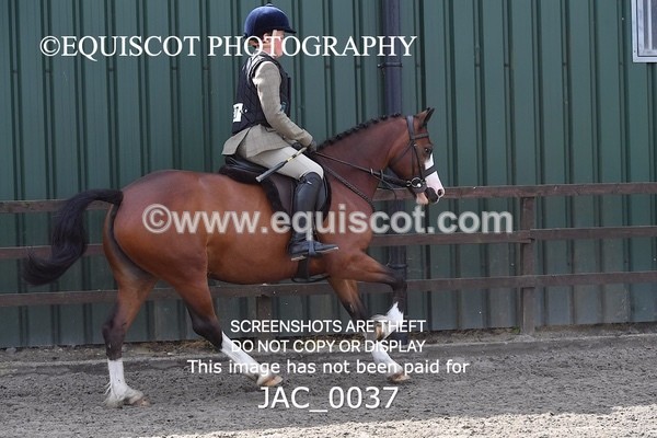 JAC_0037 - CLASS 3 Intermediate Working Hunter (0.70m - 0.85m)