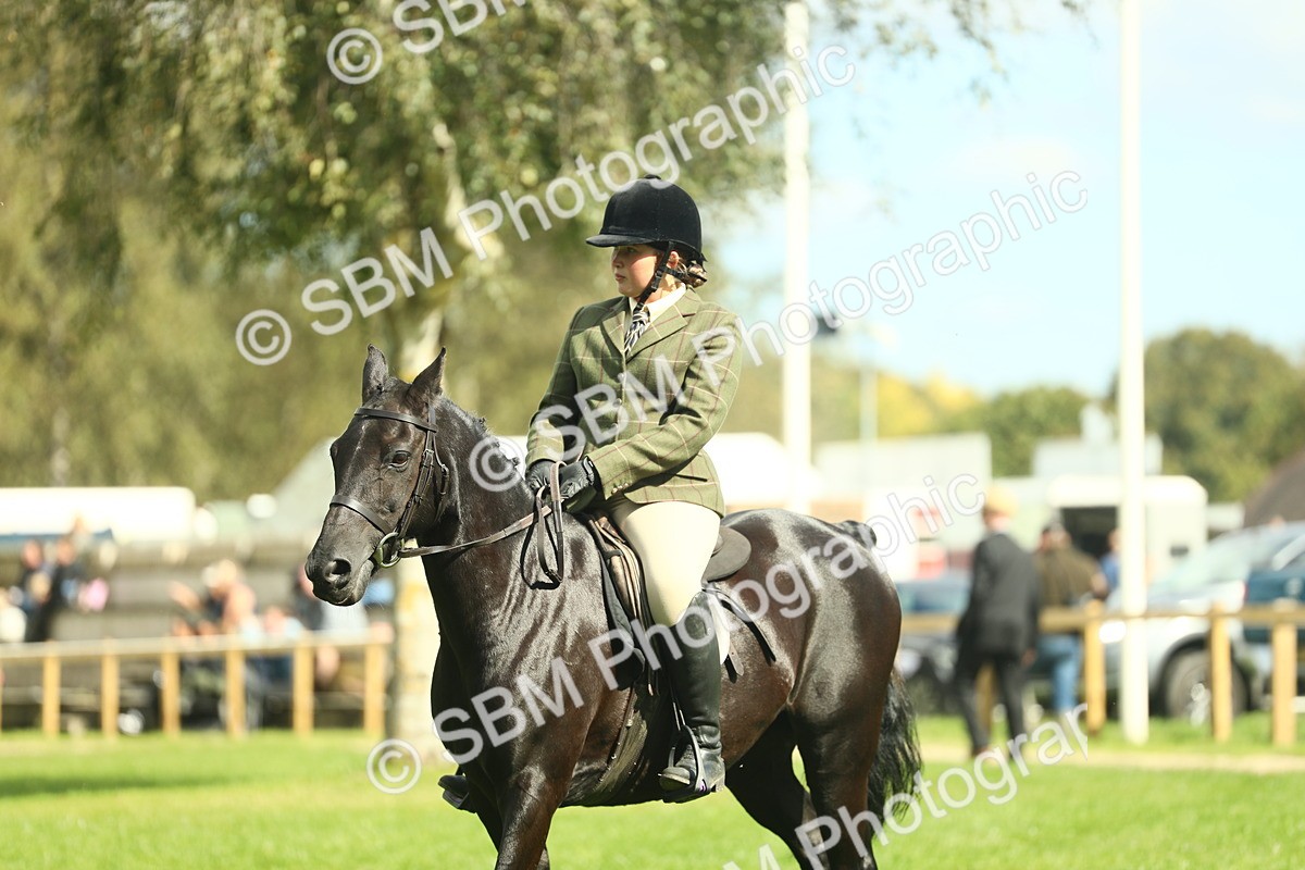 SBM_42082 - S29 - Novice & Newcomers Working Hunter Pony
