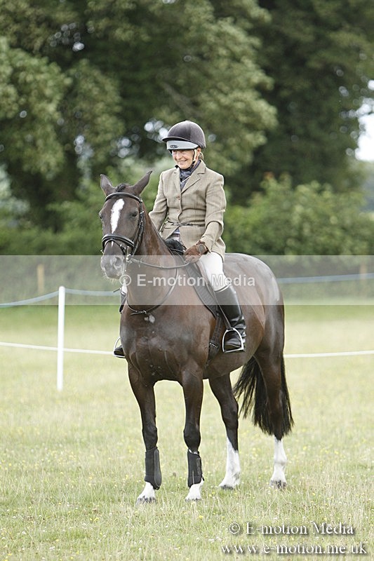 BVR160717-1747 - Ring 3 BVRC Show 16/07/17