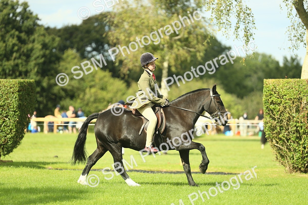 SBM_44939 - Working Hunter Pony Supreme Championship