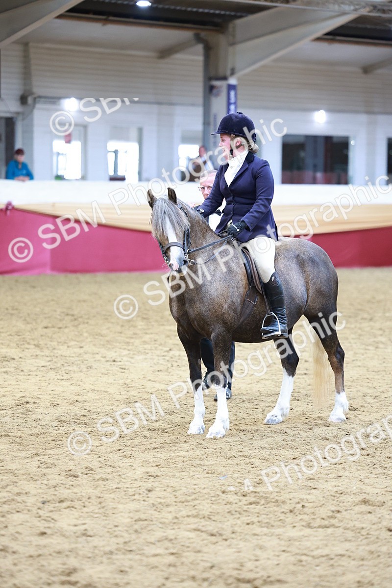 SBM_18626 - Class 952 - M&M Ridden Supreme Final