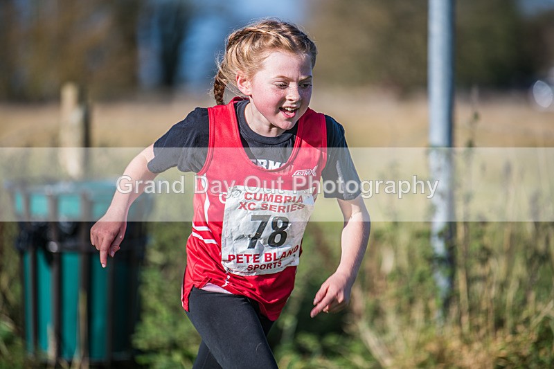 Cumbria XC-175 - Cumbria XC League Workington Saturday 26th October 2024