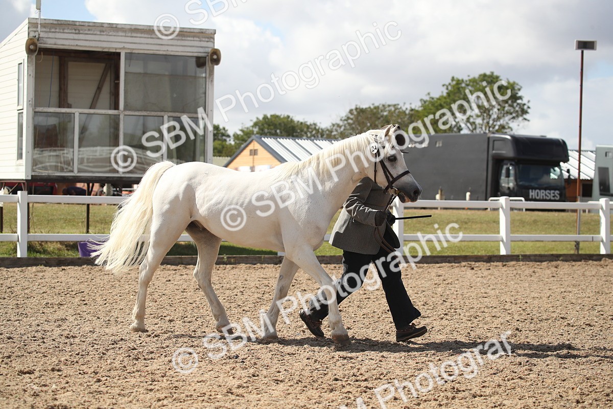 SBM_23532 - Class 605 - 2026 - Area - IH Veteran